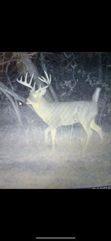 N7534 Skoy Coulee Road, Mindoro, WI 54644