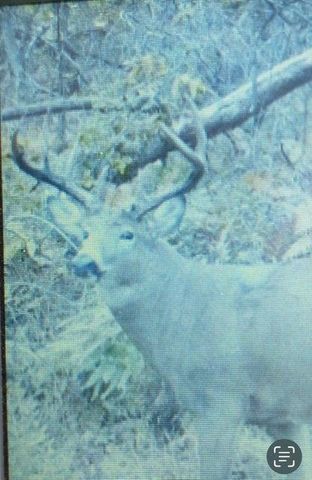 N7534 Skoy Coulee Road, Mindoro, WI 54644
