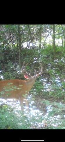 N7534 Skoy Coulee Road, Mindoro, WI 54644