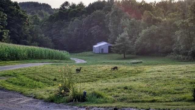 N7534 Skoy Coulee Road, Mindoro, WI 54644