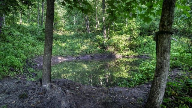 N7534 Skoy Coulee Road, Mindoro, WI 54644