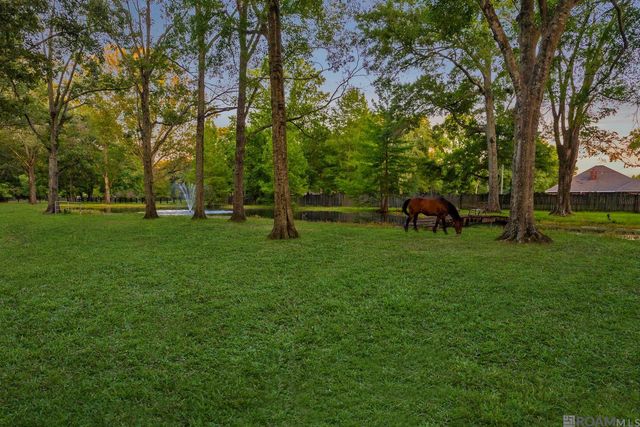 19919 Tucker Rd, Zachary, LA 70791