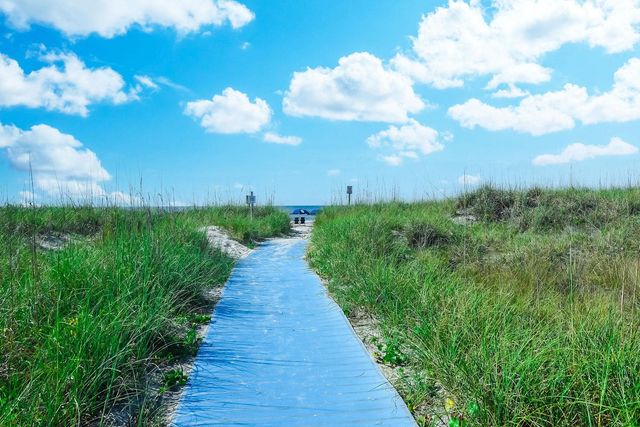 1352 Littleleaf Loop, North Myrtle Beach, SC 29582