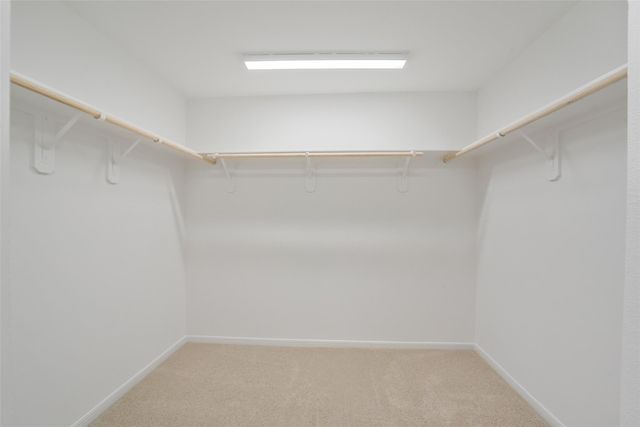 14725 Blooming Jasmine Trail, Houston, TX 77082