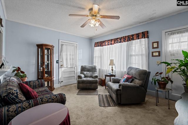 100 Point Street, Chapin, SC 29036