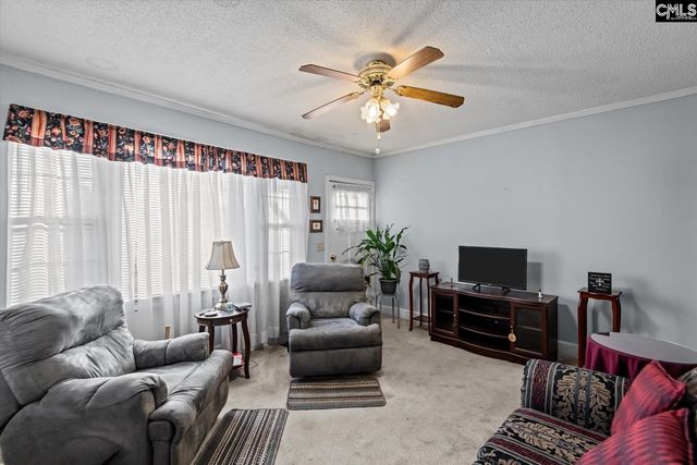 100 Point Street, Chapin, SC 29036