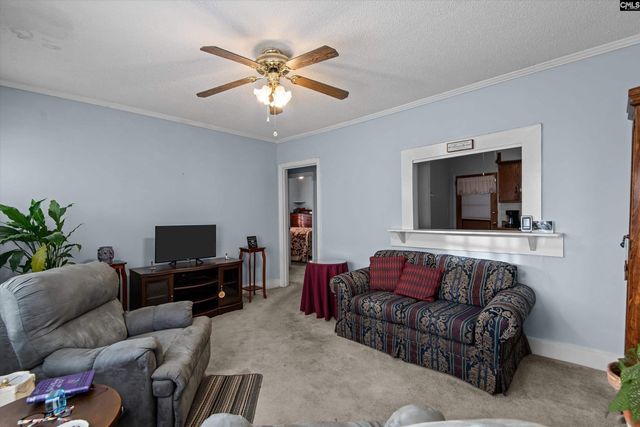 100 Point Street, Chapin, SC 29036