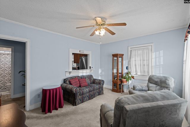 100 Point Street, Chapin, SC 29036