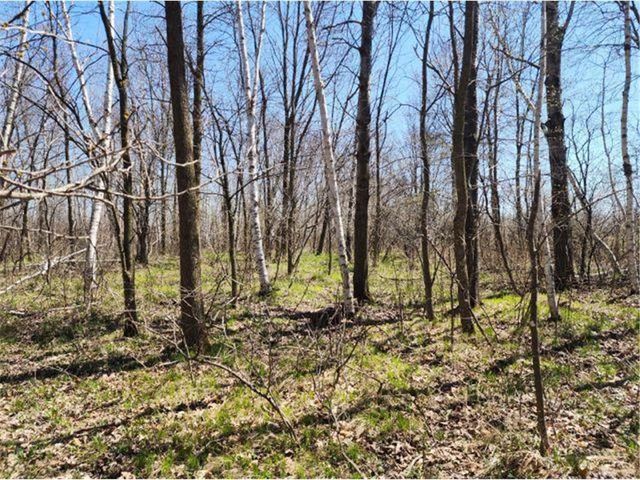 530 335th Avenue, Frederic, WI 54837