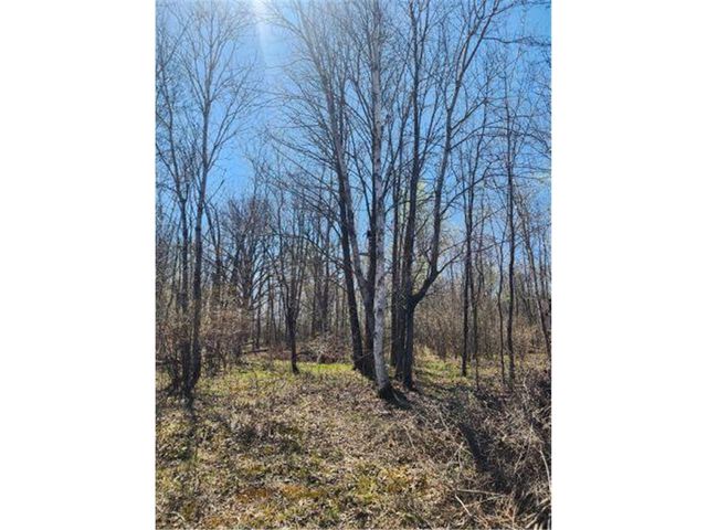 530 335th Avenue, Frederic, WI 54837