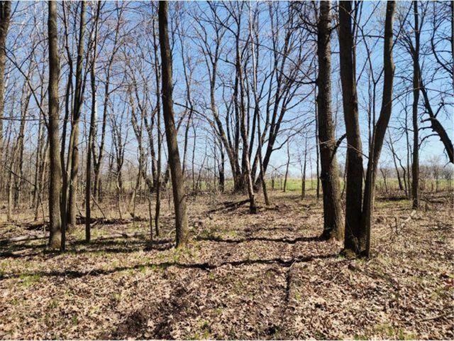 530 335th Avenue, Frederic, WI 54837