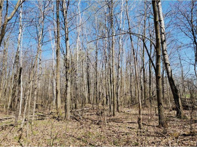 530 335th Avenue, Frederic, WI 54837