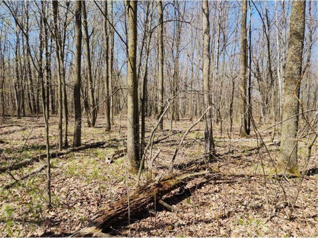530 335th Avenue, Frederic, WI 54837