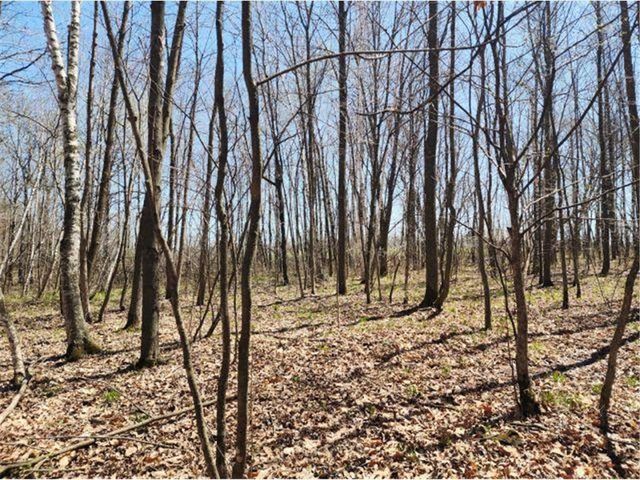 530 335th Avenue, Frederic, WI 54837