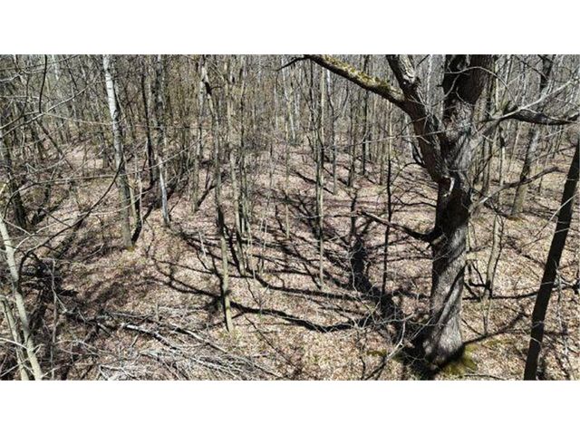 530 335th Avenue, Frederic, WI 54837
