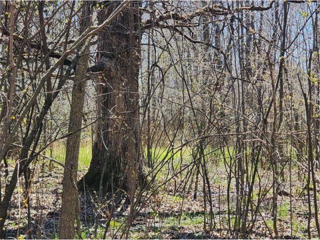 530 335th Avenue, Frederic, WI 54837
