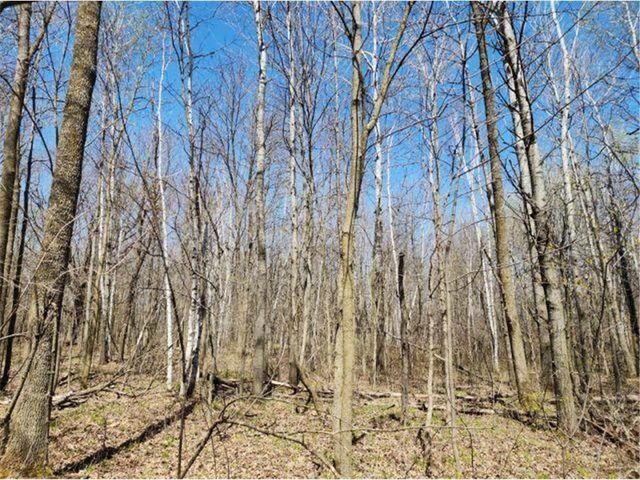 530 335th Avenue, Frederic, WI 54837