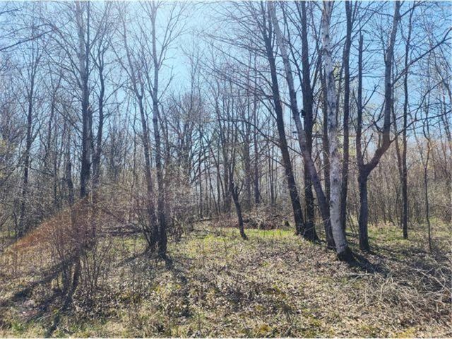 530 335th Avenue, Frederic, WI 54837