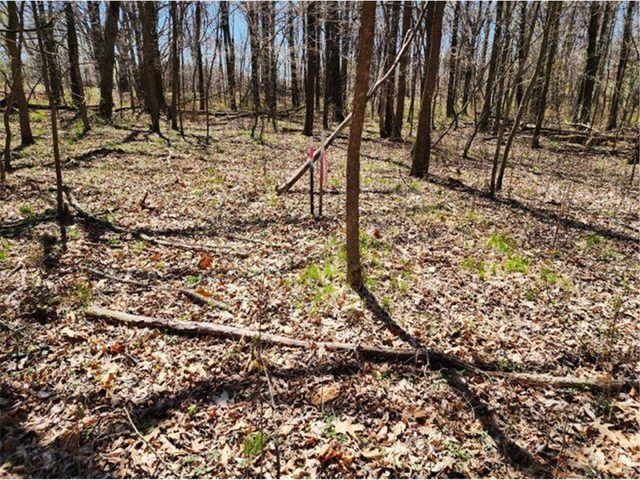 530 335th Avenue, Frederic, WI 54837
