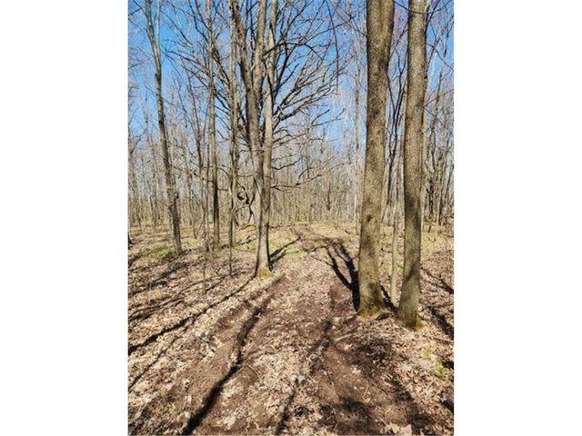 530 335th Avenue, Frederic, WI 54837