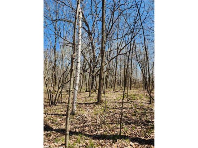 530 335th Avenue, Frederic, WI 54837