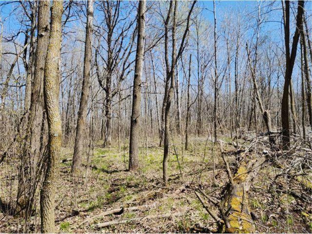 530 335th Avenue, Frederic, WI 54837