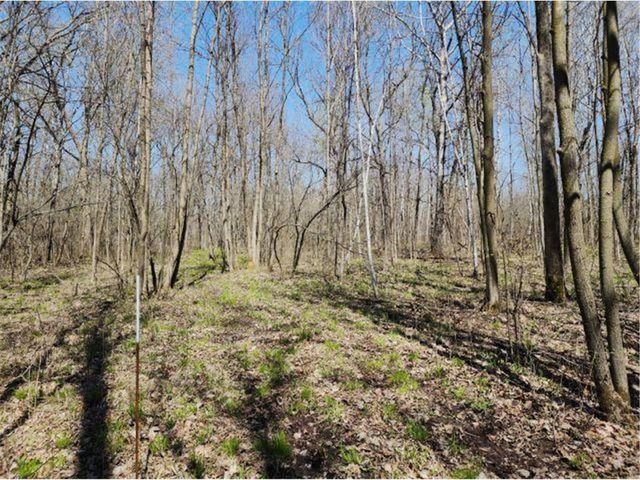 530 335th Avenue, Frederic, WI 54837
