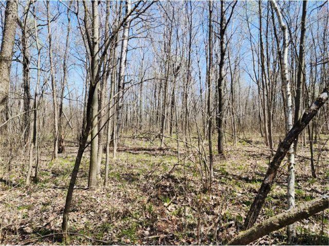 530 335th Avenue, Frederic, WI 54837