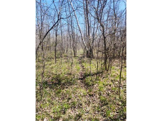 530 335th Avenue, Frederic, WI 54837