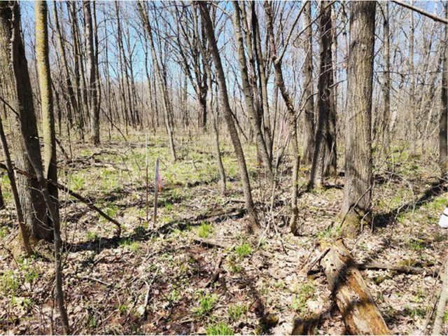 530 335th Avenue, Frederic, WI 54837
