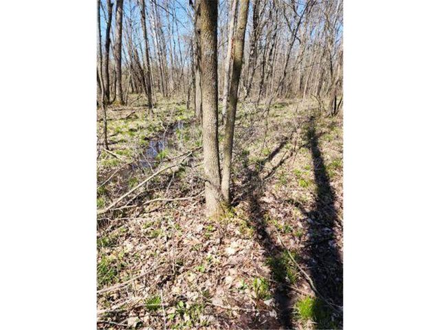 530 335th Avenue, Frederic, WI 54837