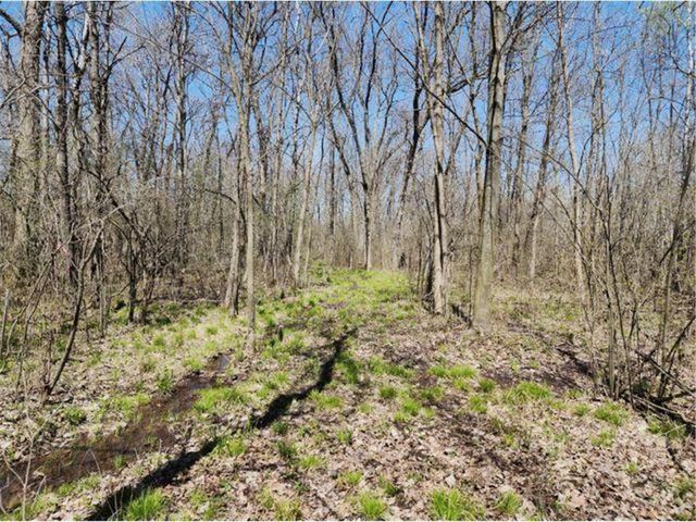 530 335th Avenue, Frederic, WI 54837