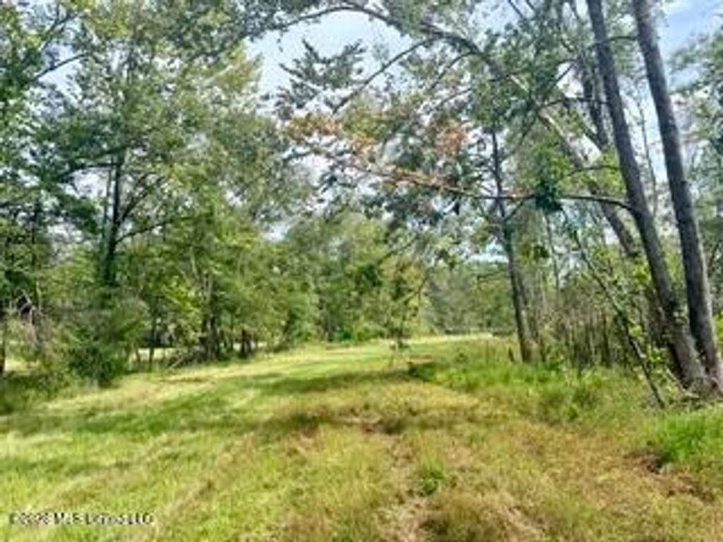 30 Mississippi 310, Como, MS 38619 — photo 4