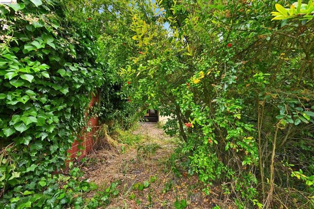 2219 Derby St, Berkeley, CA 94705