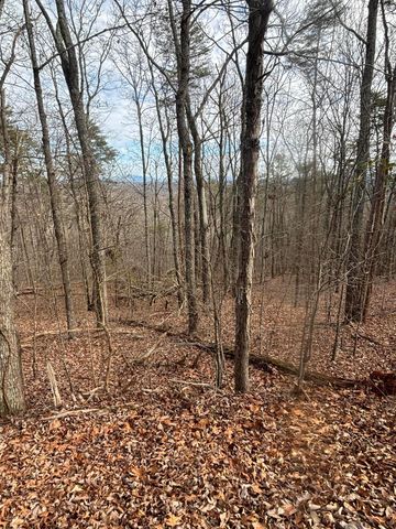 0 Forest Drive Lot B, Ringgold, GA 30736