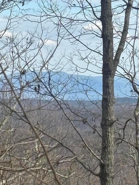 0 Forest Drive Lot B, Ringgold, GA 30736
