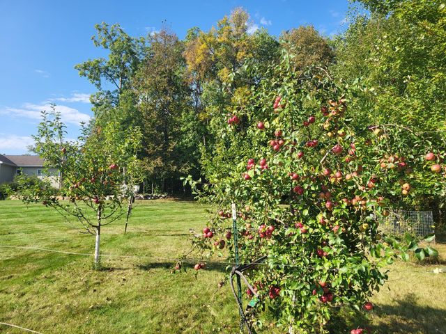 29216 Pleasant Lake Road, Underwood, MN 56586