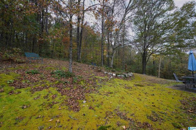 6485 EAGLE RIDGE LANE, Pinson, AL 35126