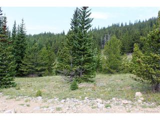 13620 Independence, Idaho Springs, CO 80461
