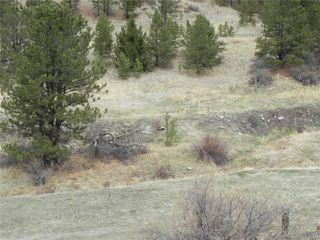 521 Monarch Dr, Cripple Creek, CO 80813