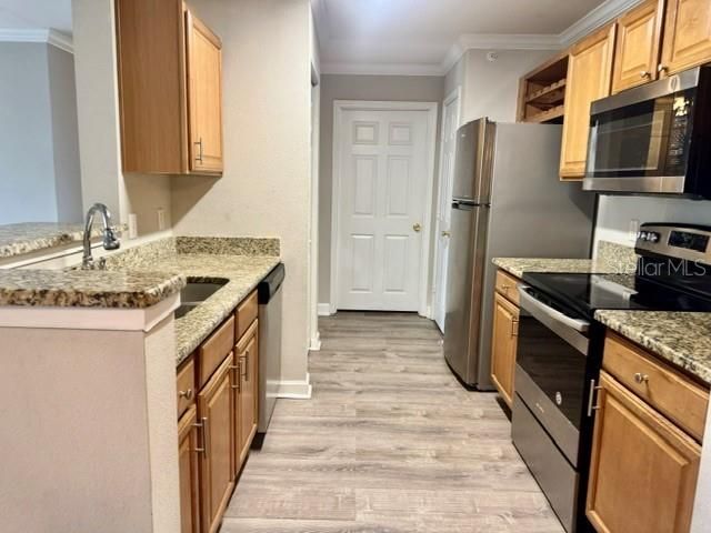 18448 BRIDLE CLUB DRIVE NA, Tampa, FL 33647