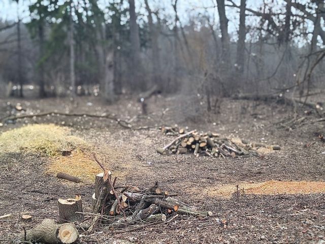 LOT 2 Asbury Avenue, Fox River Grove, IL 60021