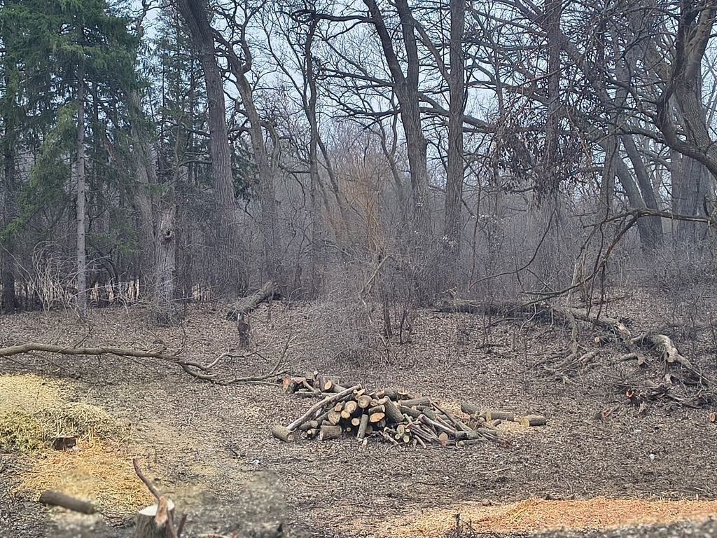 LOT 2 Asbury Avenue, Fox River Grove, IL 60021