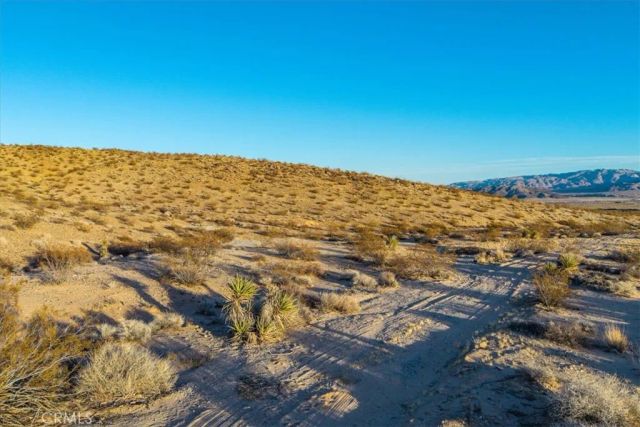 3025 Flamingo, Joshua Tree, CA 92252