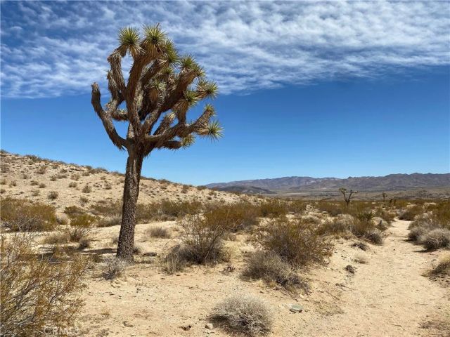 3025 Flamingo, Joshua Tree, CA 92252