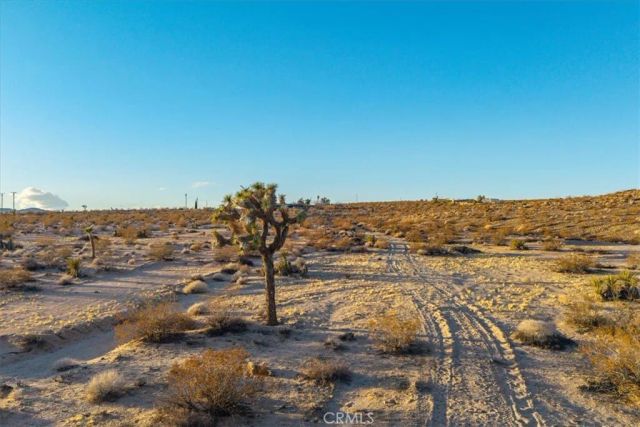 3025 Flamingo, Joshua Tree, CA 92252