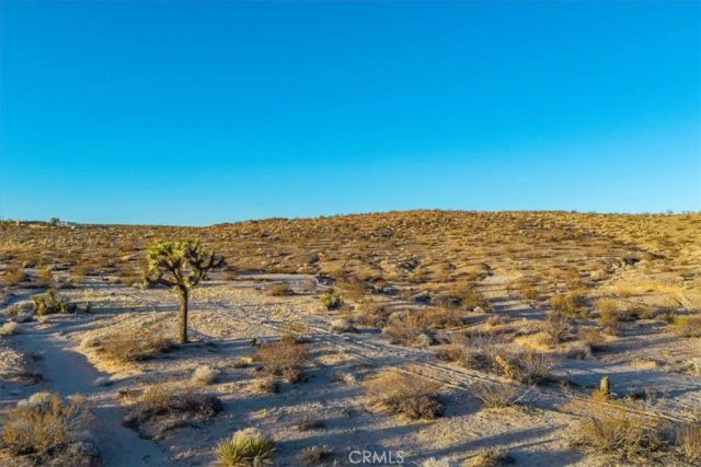 3025 Flamingo, Joshua Tree, CA 92252