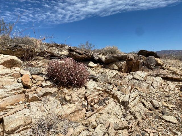 3025 Flamingo, Joshua Tree, CA 92252