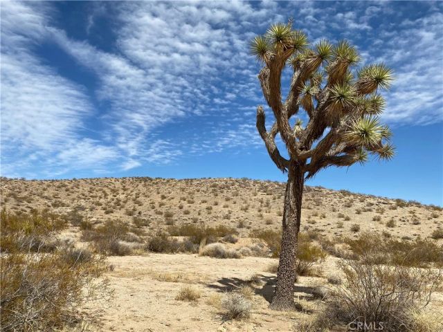 3025 Flamingo, Joshua Tree, CA 92252