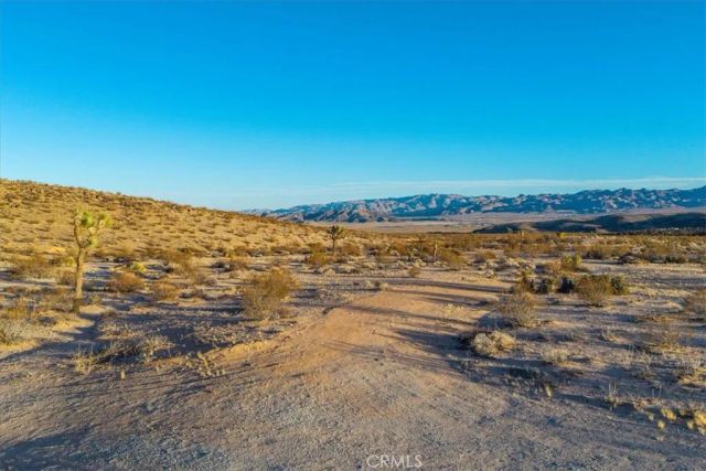 3025 Flamingo, Joshua Tree, CA 92252